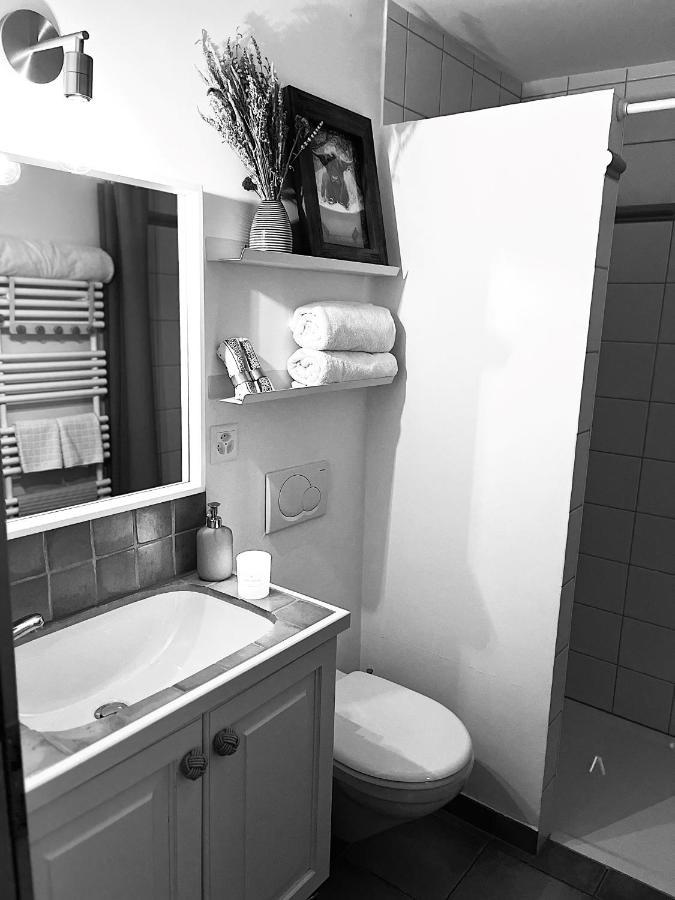 Chalet Apartment Serenity Lodge Charmey Zewnętrze zdjęcie